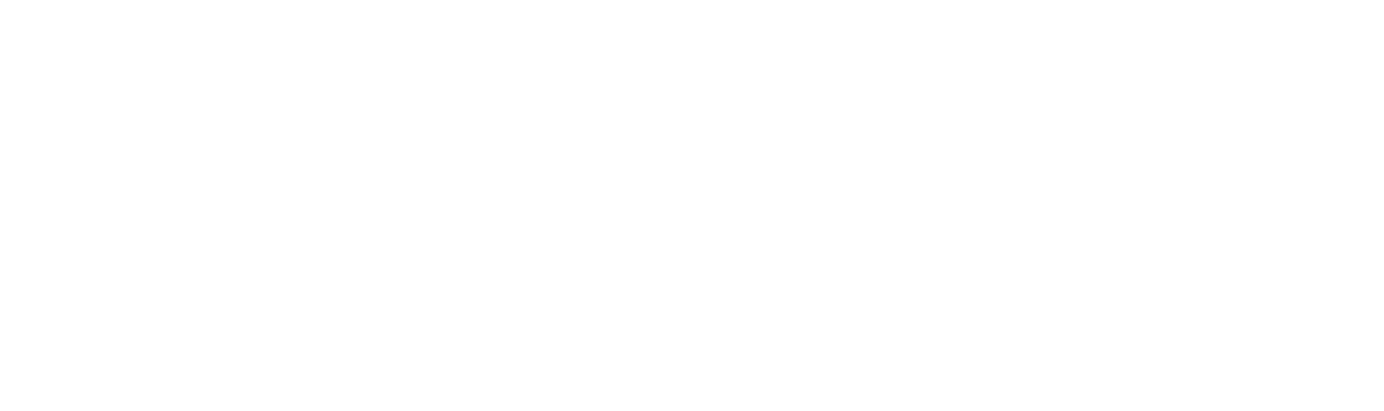 Teron_Logo_White